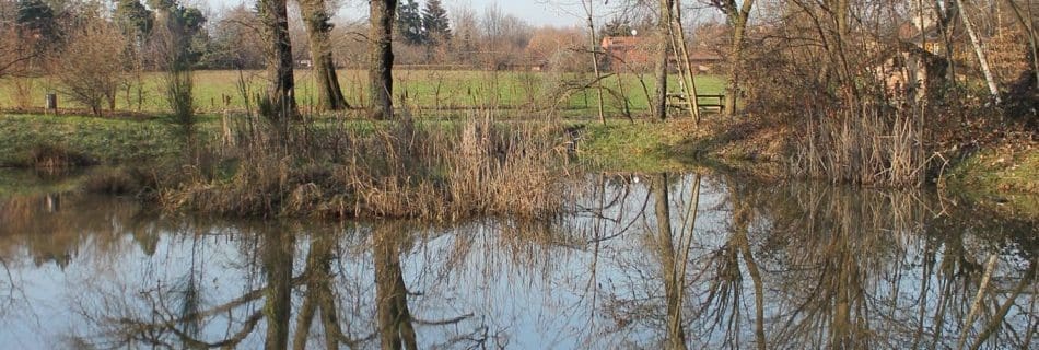 comune di seveso