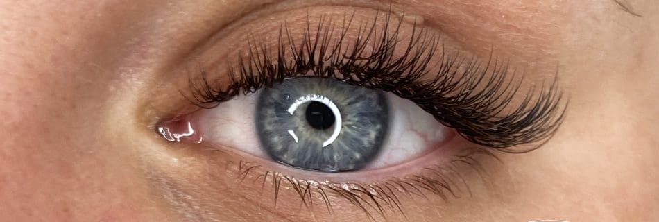 extension ciglia QS Seveso