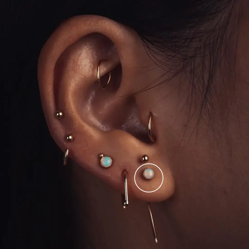 Lobo Piercing Orecchio