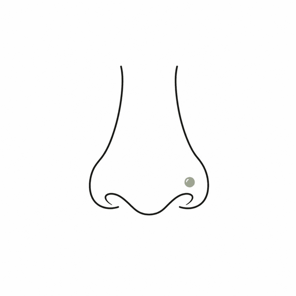 Piercing Naso | Nostril Seveso Monza Brianza